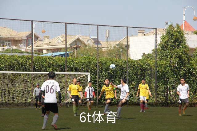 6t体育团队与体育内容